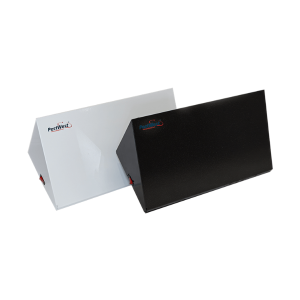 Chameleon Uplight QBL LED
