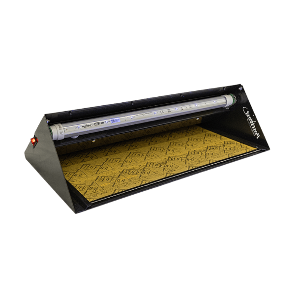 Chameleon Uplight QBL LED
